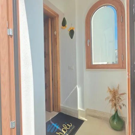 B&B Viroli 비에스테
